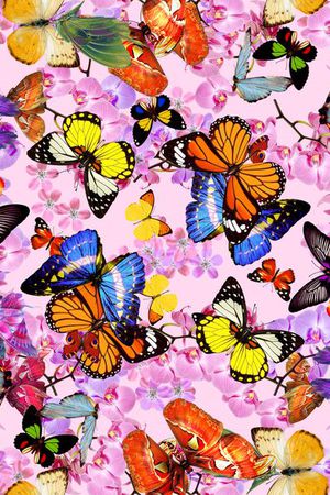 百花 花朵印花华亿平台图片