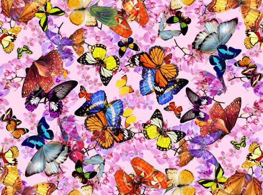 百花 花朵印花华亿平台图片