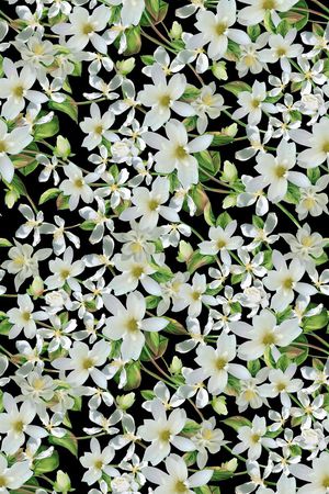 女装华亿平台印花华亿平台图片