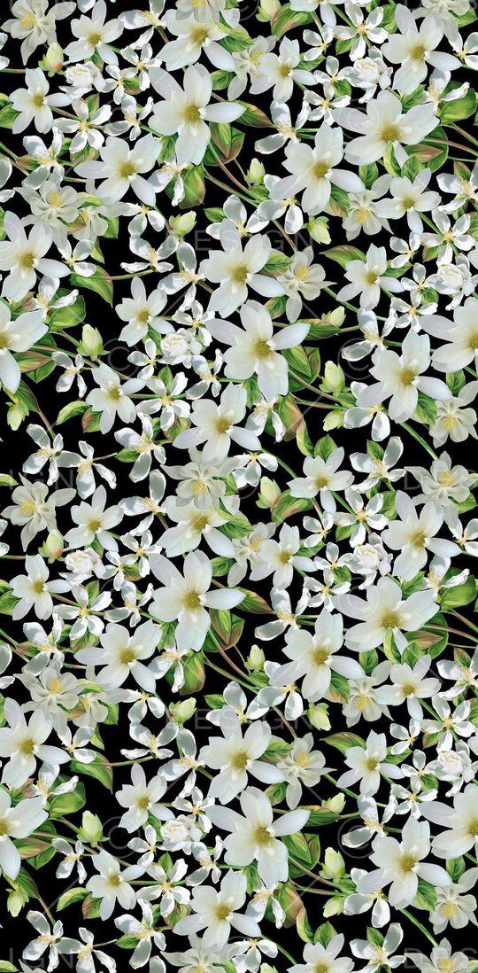 女装华亿平台印花华亿平台图片