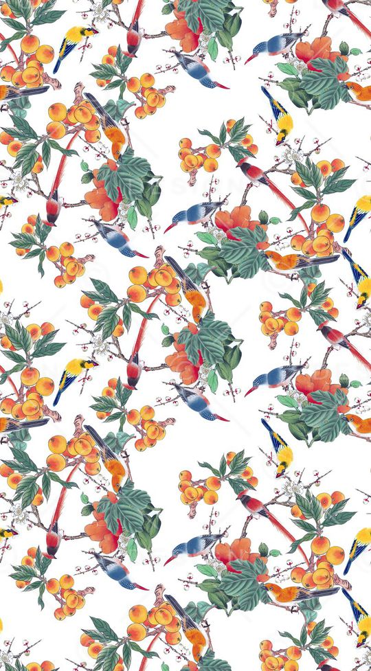 动物印花华亿平台图片