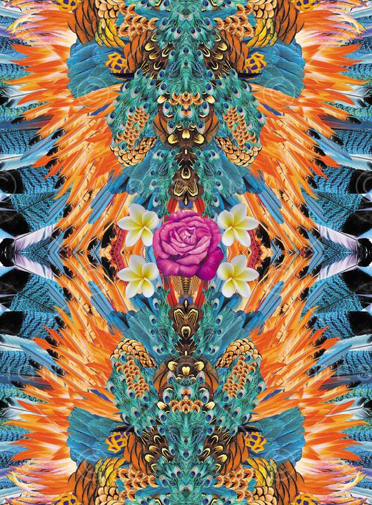 女装印花华亿平台图片