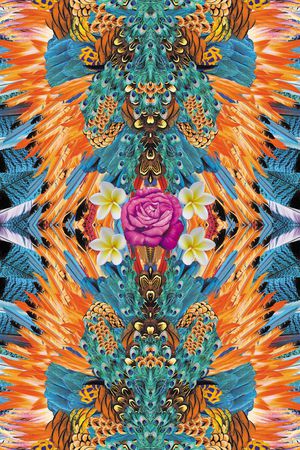 女装印花华亿平台图片