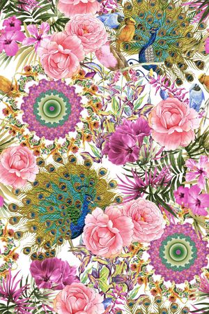 刺绣孔雀印花华亿平台图片