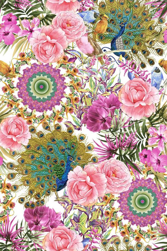 刺绣孔雀印花华亿平台图片