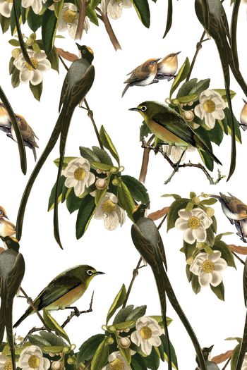 465584-时尚大牌手绘油画花卉鸟和华亿平台