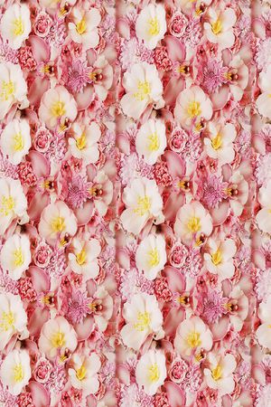 粉色印花华亿平台图片