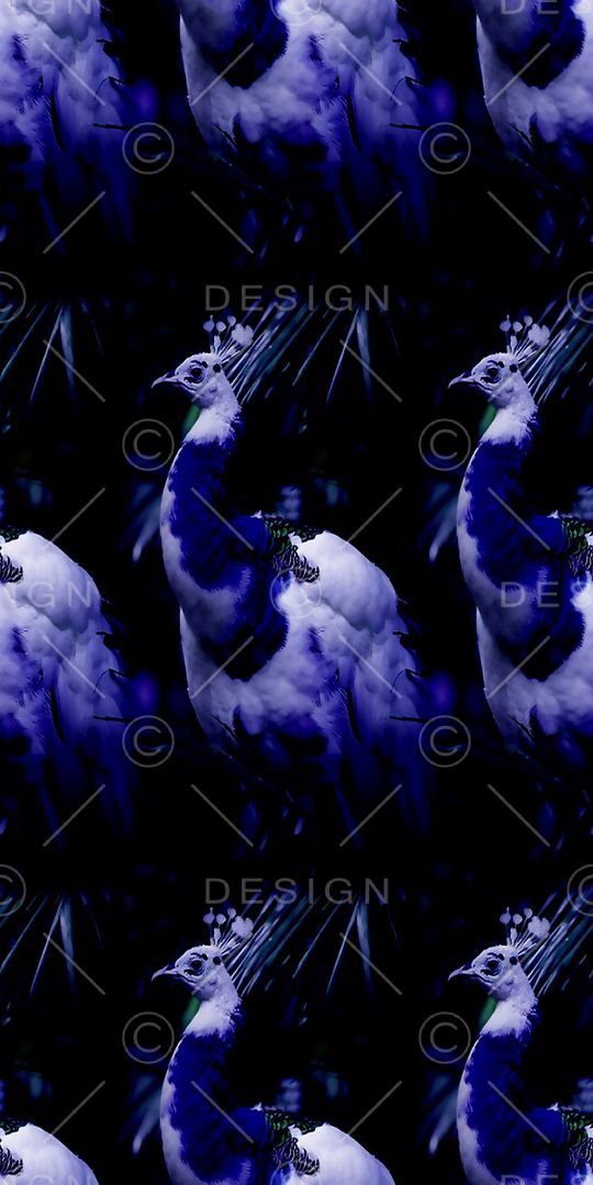 丝绸 真丝 棉布印花华亿平台图片