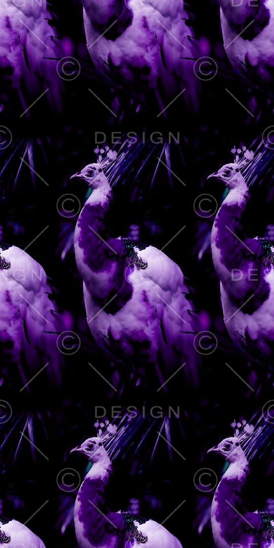 丝绸 真丝 棉布印花华亿平台图片