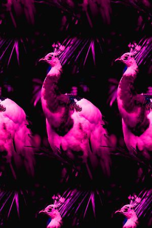 丝绸 真丝 棉布印花华亿平台图片