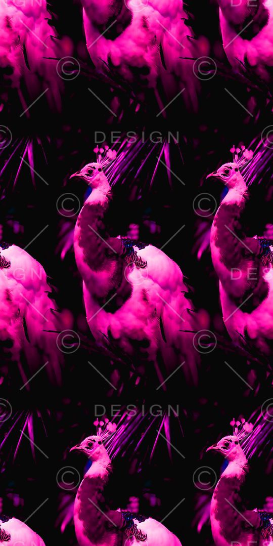 丝绸 真丝 棉布印花华亿平台图片