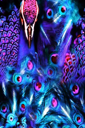 丝绸 真丝 棉布印花华亿平台图片