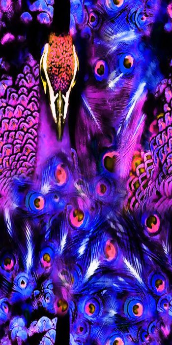 465833-时尚 新潮 动物 鸟 孔雀   数