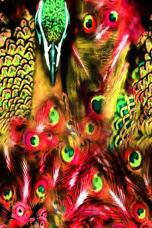 丝绸 真丝 棉布印花华亿平台图片