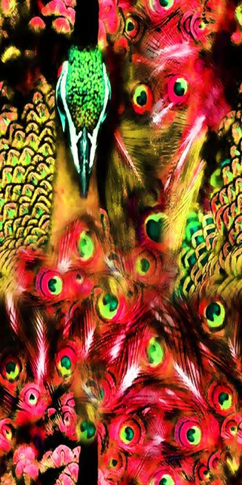 465834-时尚 新潮 动物 鸟 孔雀   数