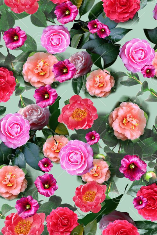 专色底印花华亿平台图片