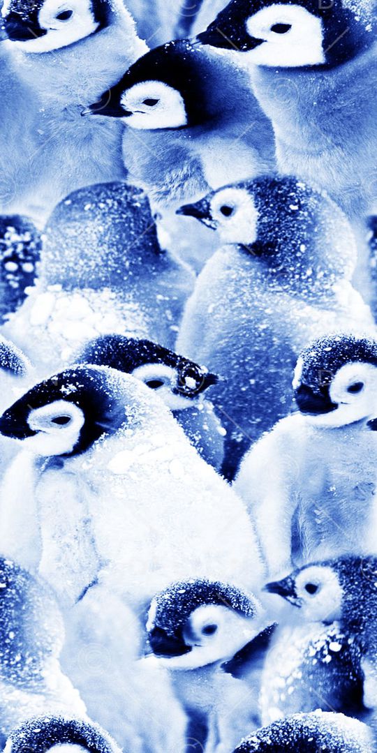 丝绸 真丝 棉布印花华亿平台图片