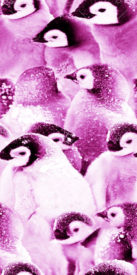 丝绸 真丝 棉布印花华亿平台图片