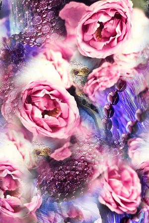 女装华亿平台印花华亿平台图片