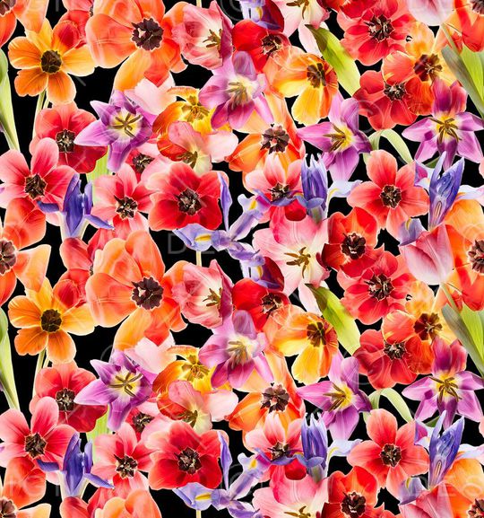 服装印花华亿平台图片