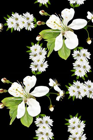 服装印花华亿平台图片