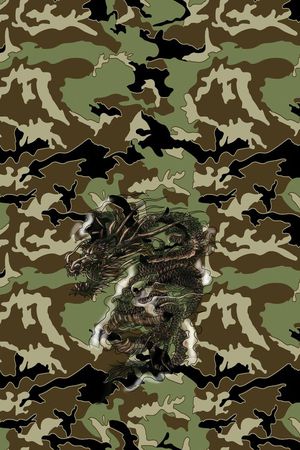 中国风迷彩 绿色 中国红 姜黄 蓝色印花华亿平台图片