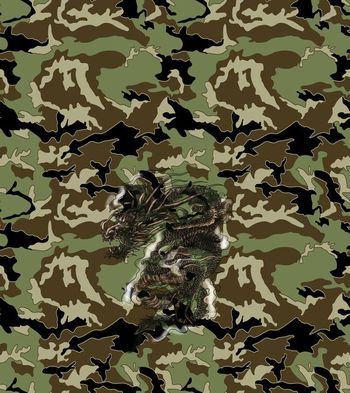 中国风迷彩 绿色 中国红 姜黄 蓝色印花华亿平台图片