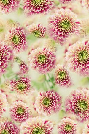 田园印花华亿平台图片