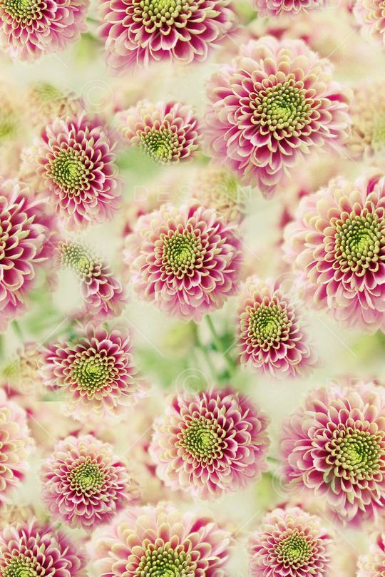 田园印花华亿平台图片