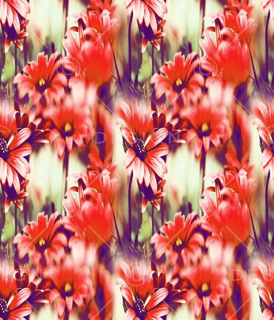 红玉印花华亿平台图片