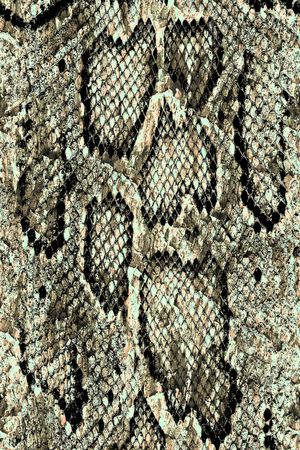 动物印花华亿平台图片