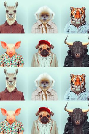 抽象印花华亿平台图片