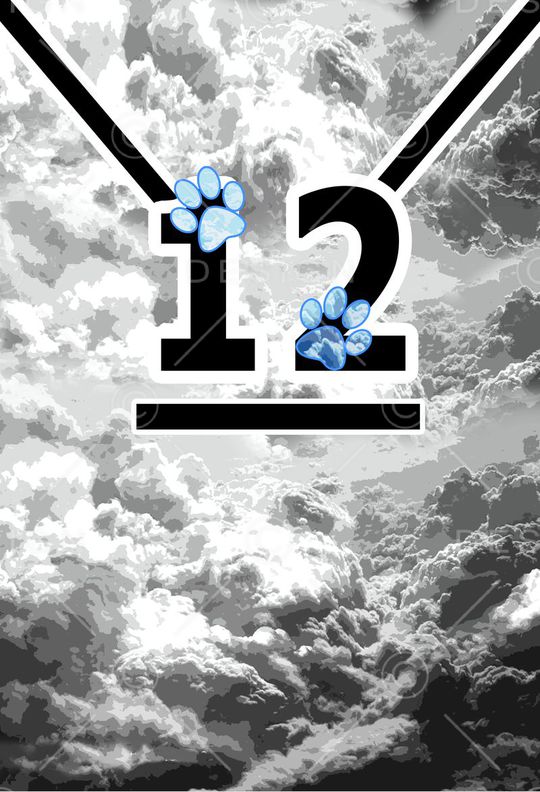 MAX-抽象自然风景印花华亿平台图片