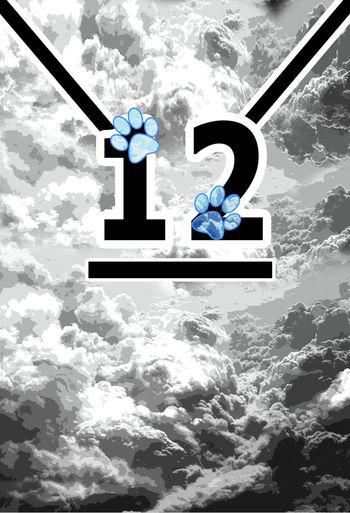 466323-校园风流行时尚运动校园风字母印花T