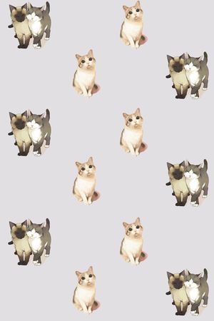 动物印花华亿平台图片