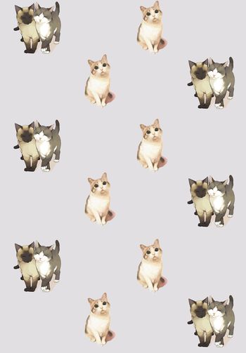 466430-水彩猫咪时尚华亿平台