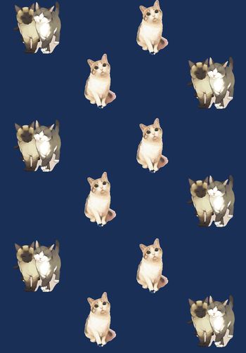 466431-水彩猫咪时尚华亿平台