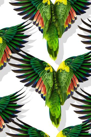 复古印花华亿平台图片