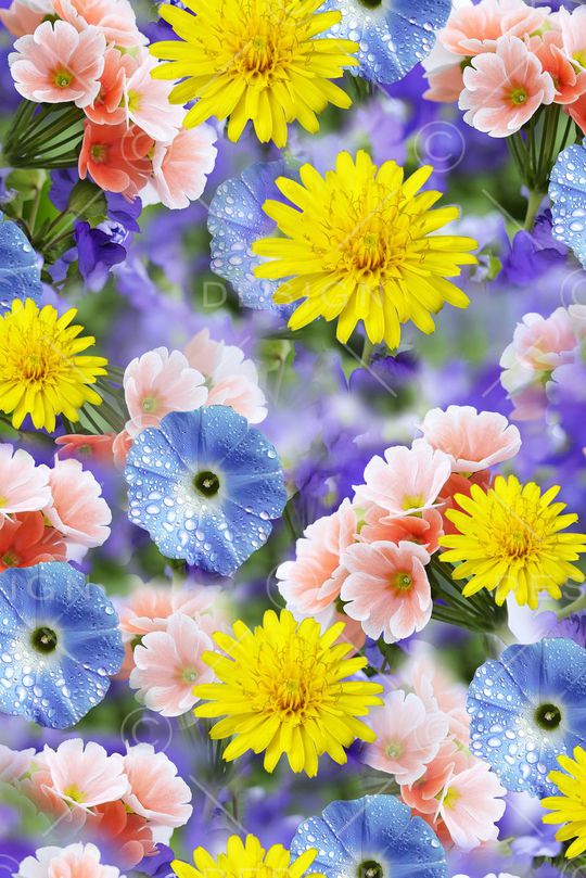 下载专区印花华亿平台图片