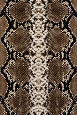 动物皮毛印花华亿平台图片