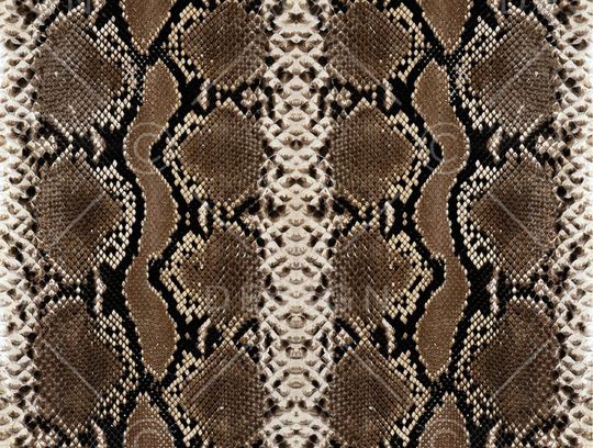 动物皮毛印花华亿平台图片