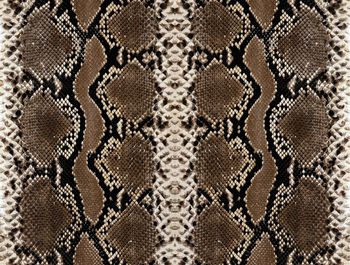 动物皮毛印花华亿平台图片