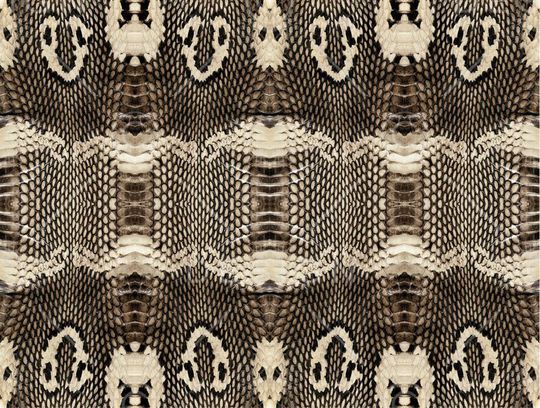 动物皮毛印花华亿平台图片