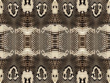 动物皮毛印花华亿平台图片