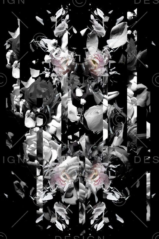 黑白印花华亿平台图片