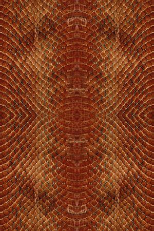 动物皮毛印花华亿平台图片