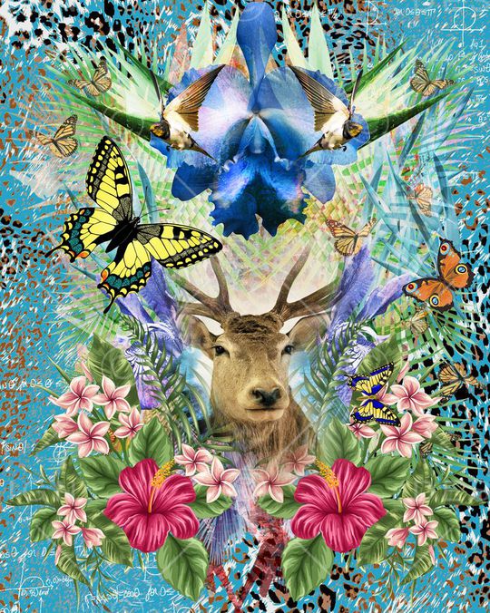 流行时尚印花华亿平台图片