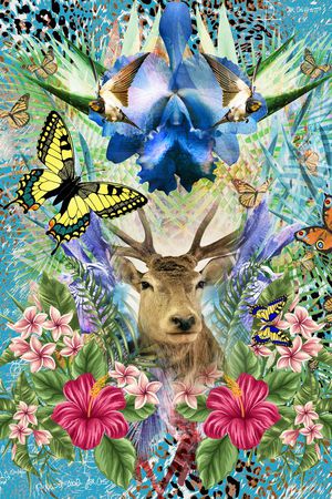 流行时尚印花华亿平台图片