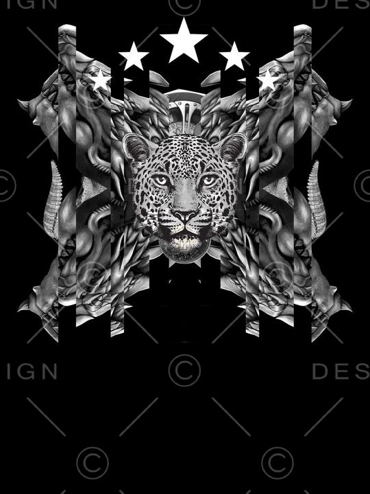 豹子印花华亿平台图片