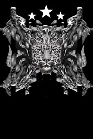 豹子印花华亿平台图片